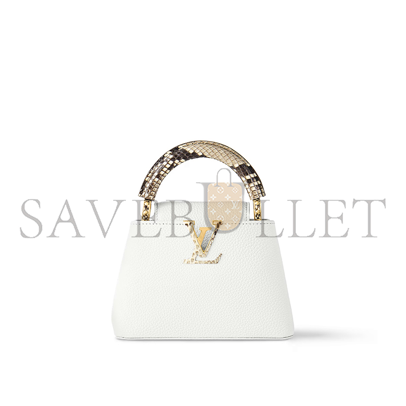 LOUIS VUITTON CAPUCINES MINI N98477 (21*14*8cm)